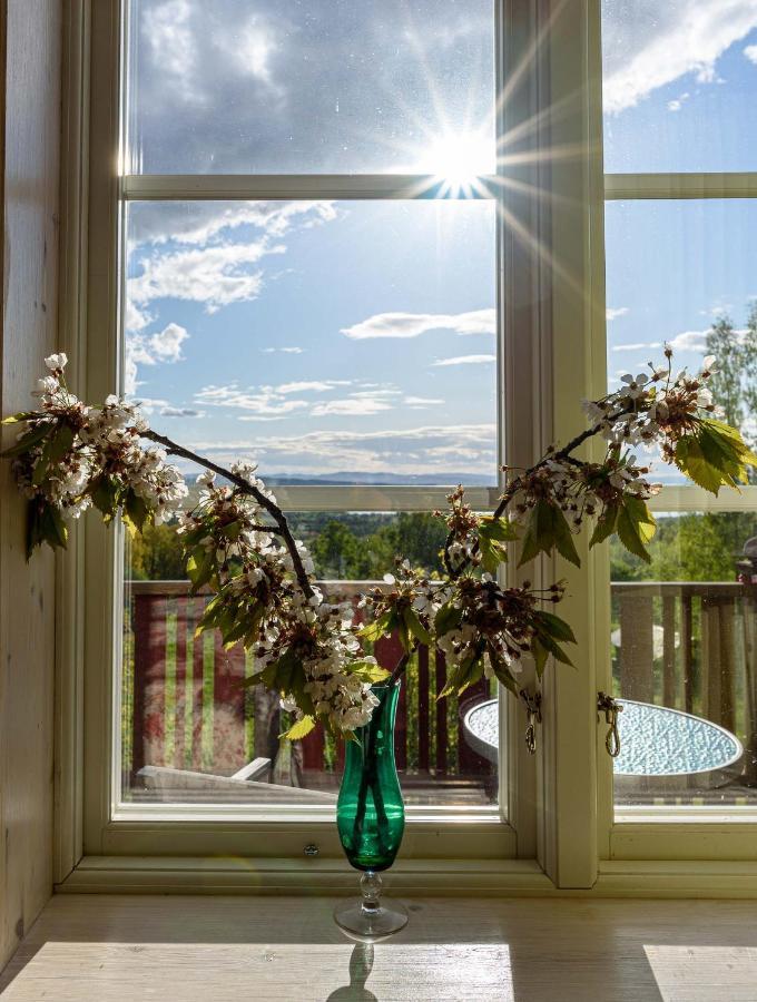 Hotel Soltaegtgarden Tällberg Exteriér fotografie
